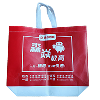 金昌LB37培训班广告袋